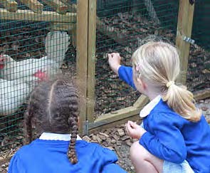 Outdoor opportunities for learning such as the chicken coop are plentiful in the park
