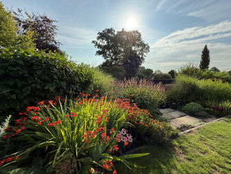 Garden 8 Downs Hill